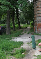 Блондинка посреди улицы разделась догола шокируя прохожих 9 фото