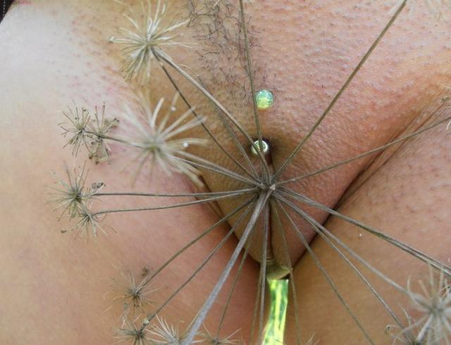 И на природе, и дома телки готовы получать удовольствие 4 фотография