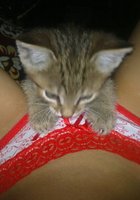 Худая брюнетка в красивых трусиках отдыхает дома 2 фото Худая брюнетка в красивых трусиках отдыхает дома 2 фото