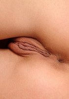 Красивые пилотки, заснятые крупным планом 17 фото Красивые пилотки, заснятые крупным планом 17 фото