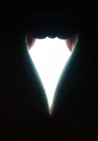 Подтянутые попки и сочные сиськи молодых спортсменок 4 фото Подтянутые попки и сочные сиськи молодых спортсменок 4 фото