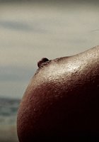 Красивая эротика с женскими прелестями крупным планом 1 фото Красивая эротика с женскими прелестями крупным планом 1 фото